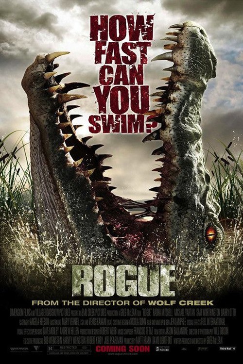 Rogue poster