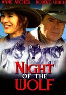 Night of the Wolf poster image