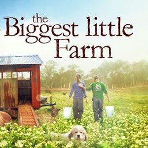 The Biggest Little Farm (2018) - IMDb