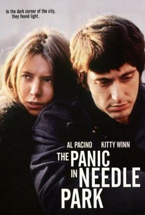 Panic in Needle Park poster