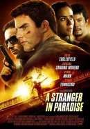 A Stranger in Paradise poster image