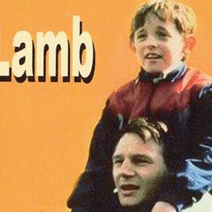 Lamb photo 8