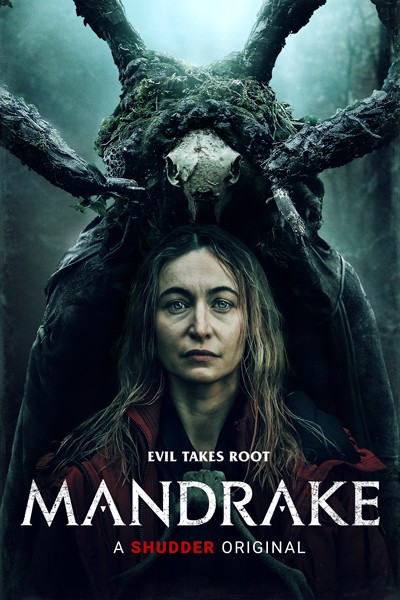 mandrake