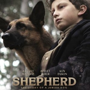 Shepherd: The Story of a Jewish Dog (2019) photo 3
