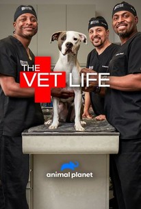 The Vet Life: Season 4 | Rotten Tomatoes