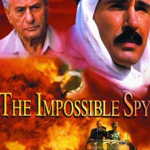 The Impossible Spy photo 7