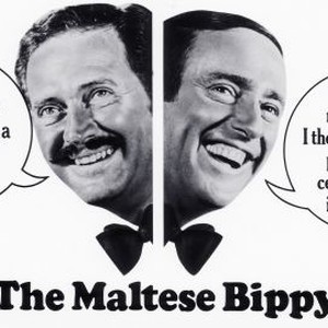 The Maltese Bippy photo 6