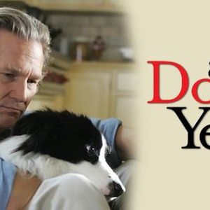 A sales dog year