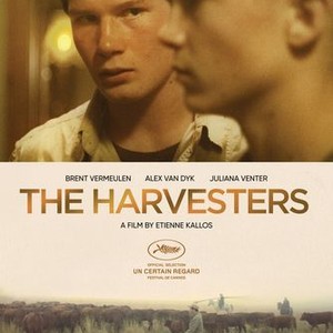 The Harvesters photo 1
