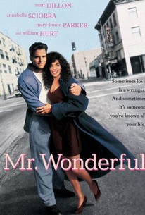 Mr Wonderful 1993 Rotten Tomatoes