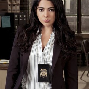 Natalie Martinez as Det. Ariana Sanchez