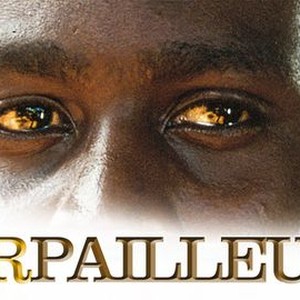 Orpailleur photo 8