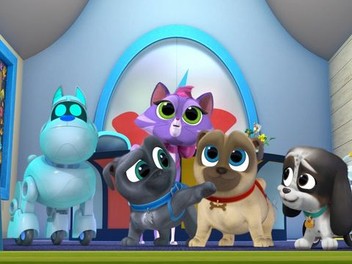 Puppy Dog Pals Season 3 Episode 1 Rotten Tomatoes