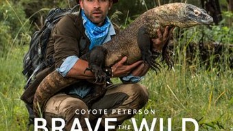 Coyote Peterson: Brave the Wild Coyote's Journal - Rotten Tomatoes