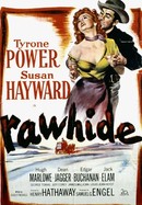 Rawhide poster image