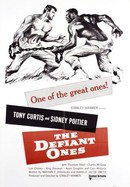 The Defiant Ones poster image