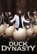 Duck Dynasty poster image