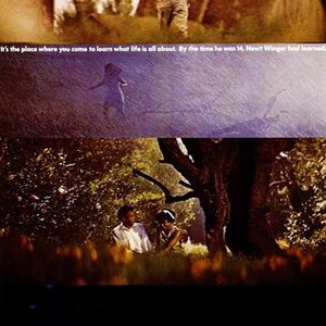 The Learning Tree photo 9