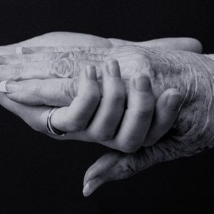 Evie Rose - Rotten Tomatoes