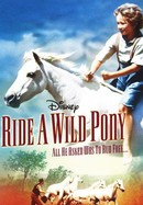 Ride a Wild Pony poster image