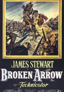 Broken Arrow poster image