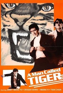 Poster for A Man Called Tiger