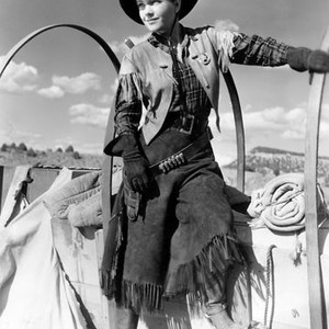 A Ticket to Tomahawk (1950) photo 7