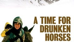 A Time for Drunken Horses | Rotten Tomatoes