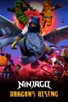 Poster for 