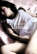 Love Exposure poster image