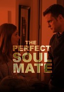 The Perfect Soulmate poster image