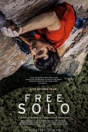 Free Solo poster