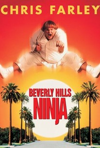 Beverly Hills Ninja poster
