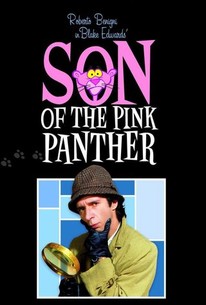 Son of the Pink Panther poster
