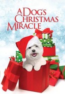 My Dog's Christmas Miracle poster image