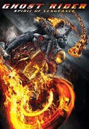 Ghost Rider: Spirit of Vengeance poster image