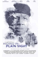 Hiding in Plain Sight poster image