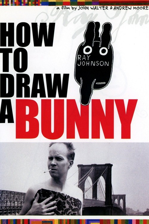 How to Draw a Bunny poster