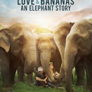 Love & Bananas: An Elephant Story photo 12