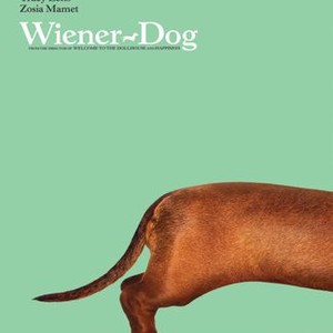 Wiener-Dog photo 1