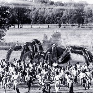 The Giant Spider Invasion (1975) photo 3