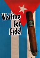 Waiting for Fidel poster image