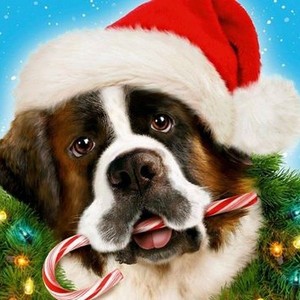 "Beethoven's Christmas Adventure photo 1"