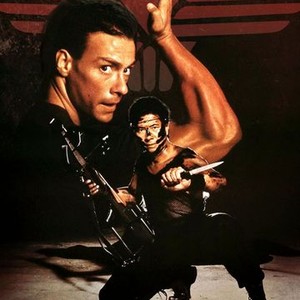 Black Eagle photo 6