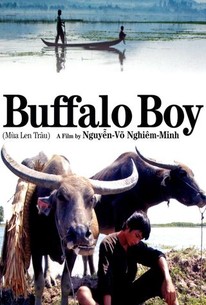 Watch trailer for The Buffalo Boy