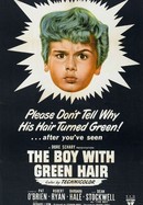 The Boy With Green Hair poster image
