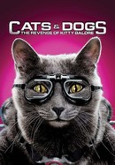 Cats & Dogs: The Revenge of Kitty Galore poster image
