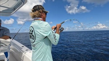 best mono fishing line for catfish 2017 Mono Fishing Line Hi-Vis