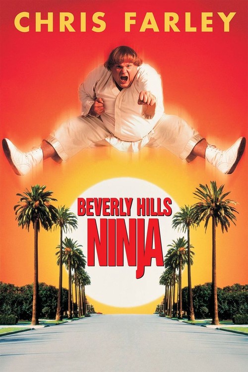 Beverly Hills Ninja poster