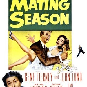 The Mating Season photo 4